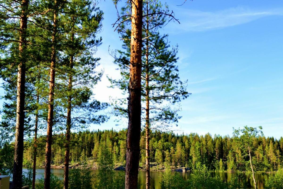 Vila Gerika 1 Enonkoski Exteriér fotografie